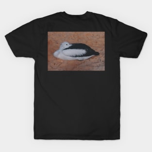 I Pelican't right now T-Shirt